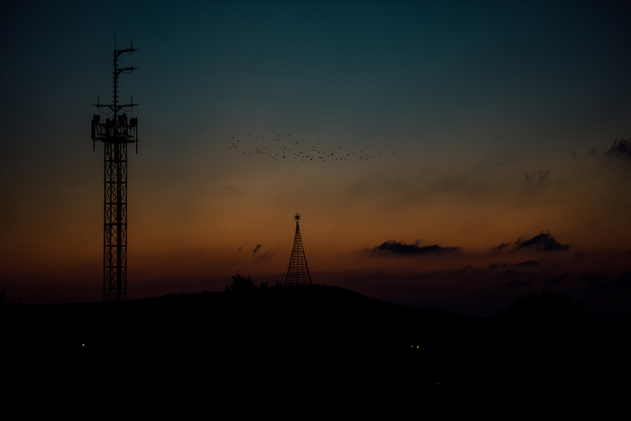 ANDREW LAZAR, «Безмятежность»