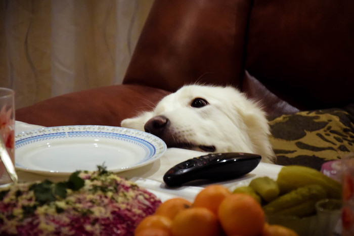 Алина Соловьева, «Пока никто не видит »