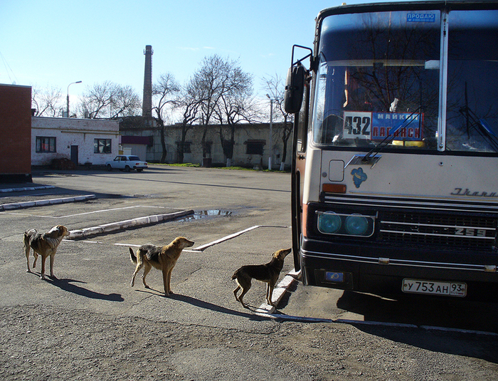 Олег Константинов, «Специальный рейс»