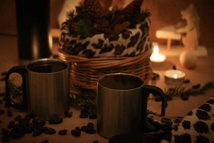 Светлана Степанова, «Шишек аромат согреет..»