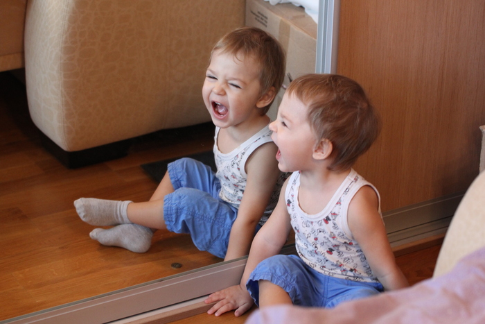 Елена Ефремова, «Я! ТЕБЯ! ПЕРЕКРИЧУ!»