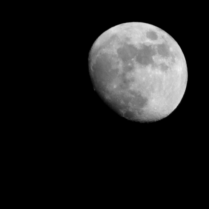 Irina Koval, «Лунный день календаря.»