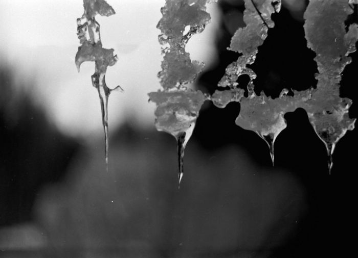 Иван Домарацкий, «Последнее дыханиезимы»