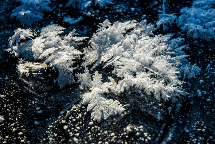 Виктор Антипов, «Хрупкость»