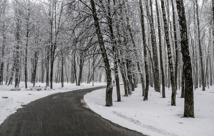 Виктор Антипов, «Мартовский снегопад»