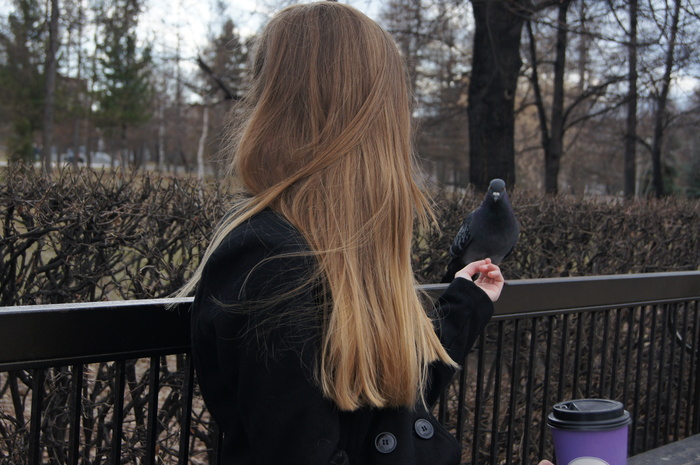 Евгений Богданов, «Собеседник»