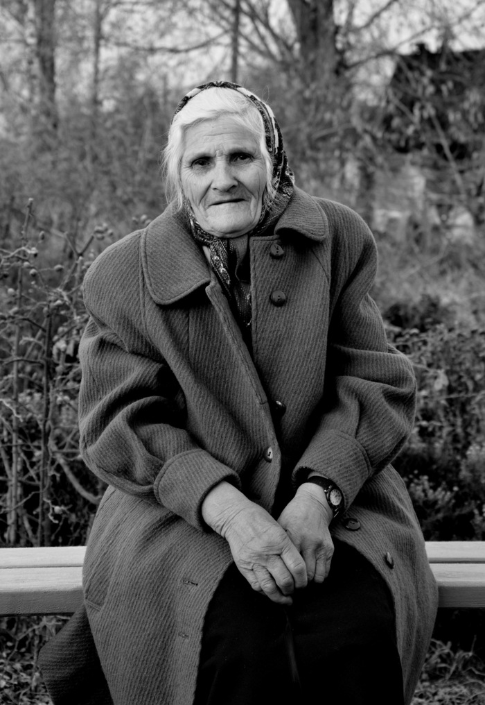 Елена  Федотовская, «Женский портрет»