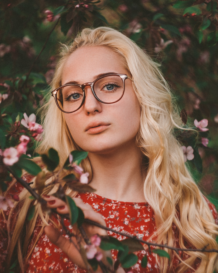 Александр Плешаков, «Райские сады»