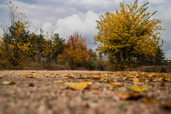 Татьяна Журавлёва, «осень »