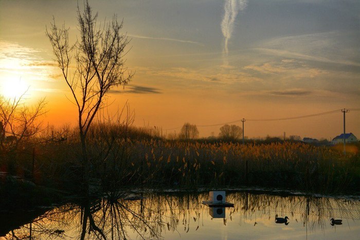 Арина Межова, «Закат ранней весны»