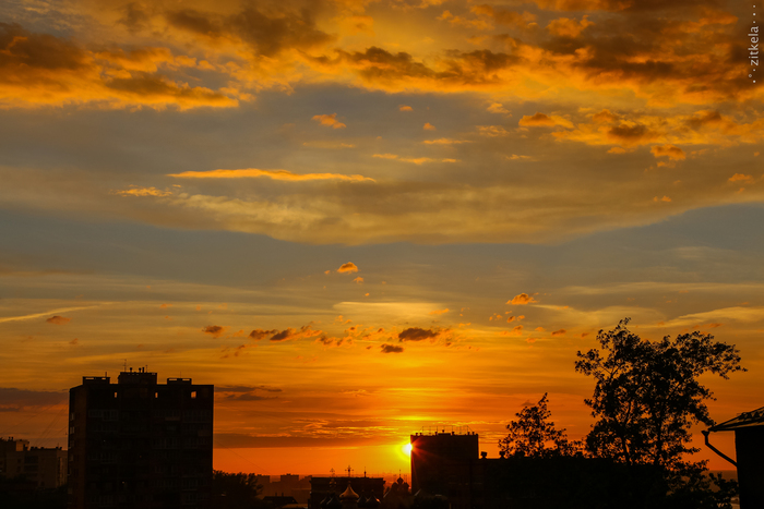 LittleBird, «Добролюбовский закат»