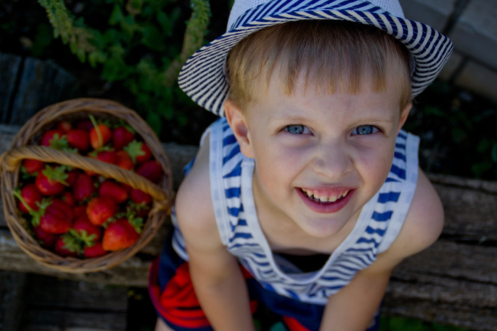 Елена Ягодина, «Клубничное лето»