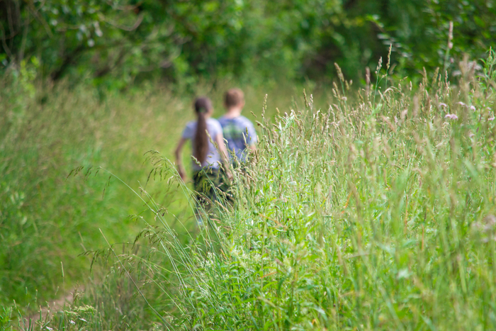Изумрудное лето