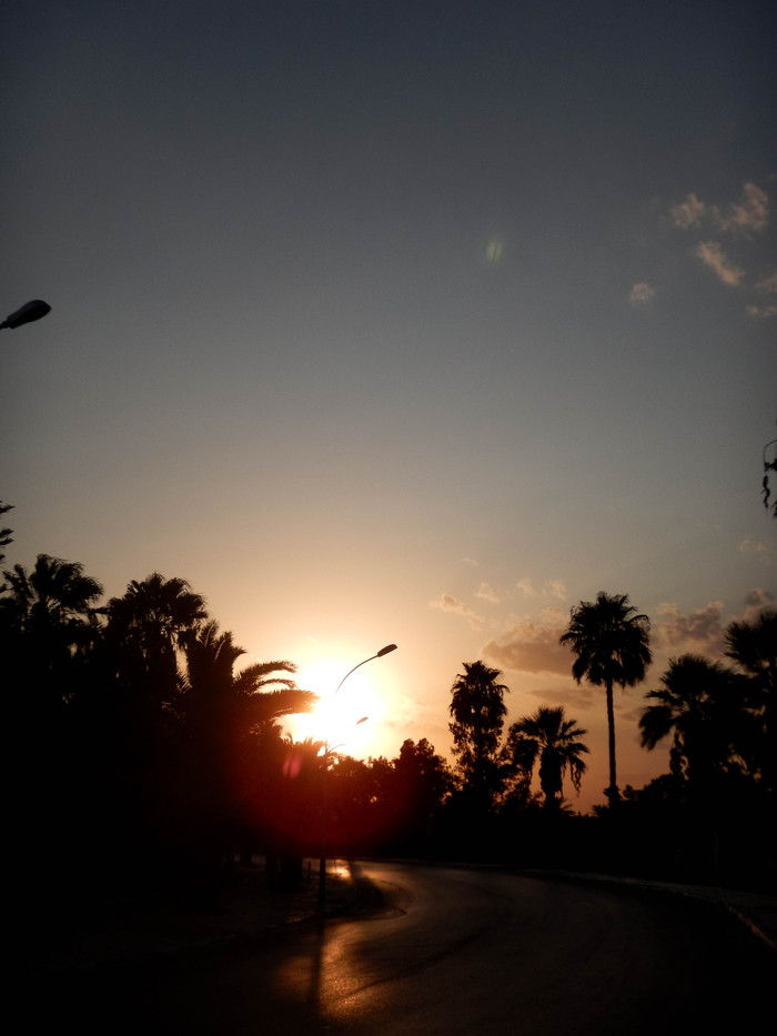 Анна Маслова, «Коралловый закат»