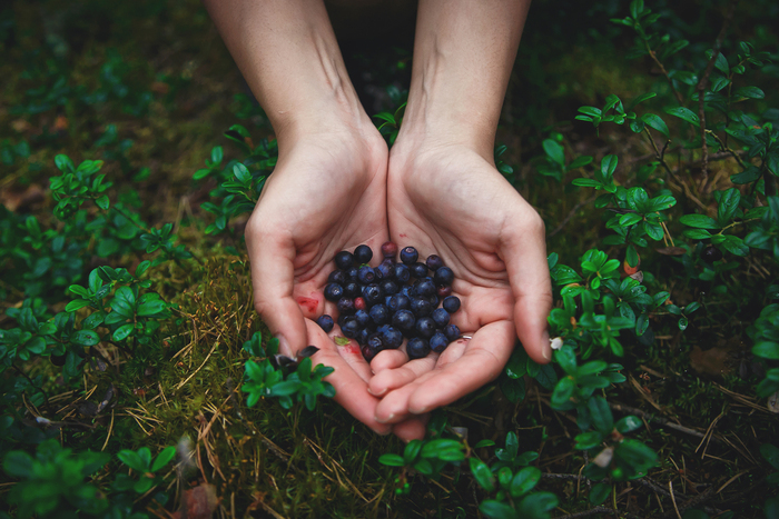 Александр Романтик, «Витамины»