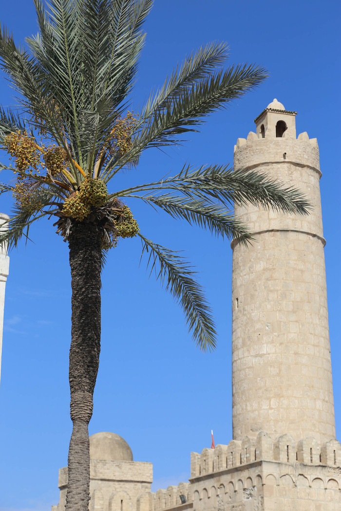 Анна Маслова, «Страна с историей »