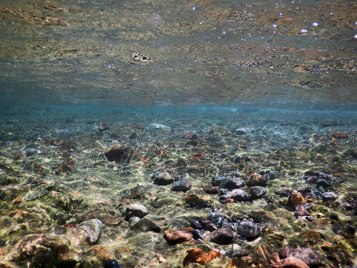 Анна Маслова, «Морское царство »