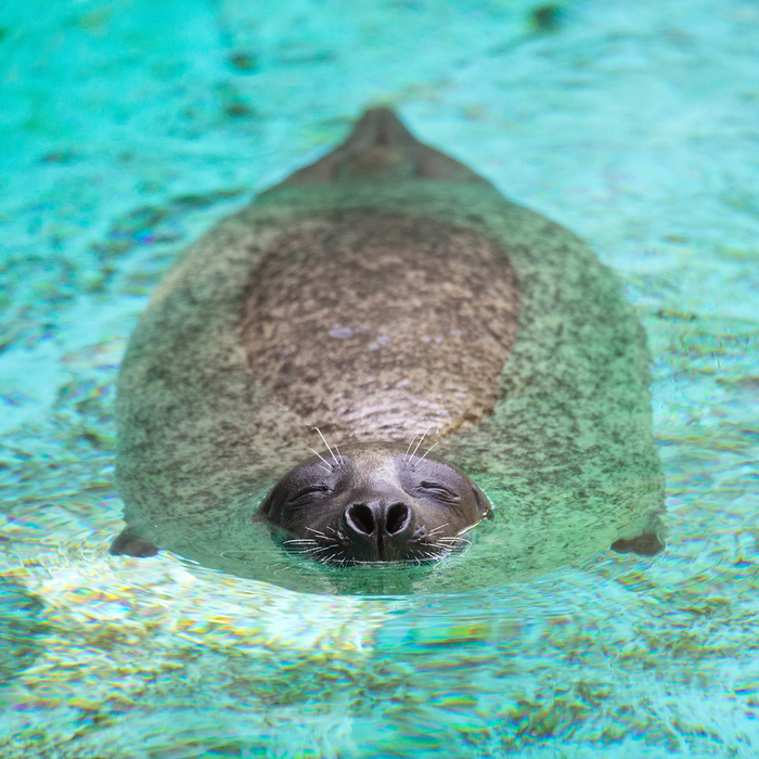 9632ea58 9257 41fe bbc2 dbe90c0d4aa8 rectangle 700 x