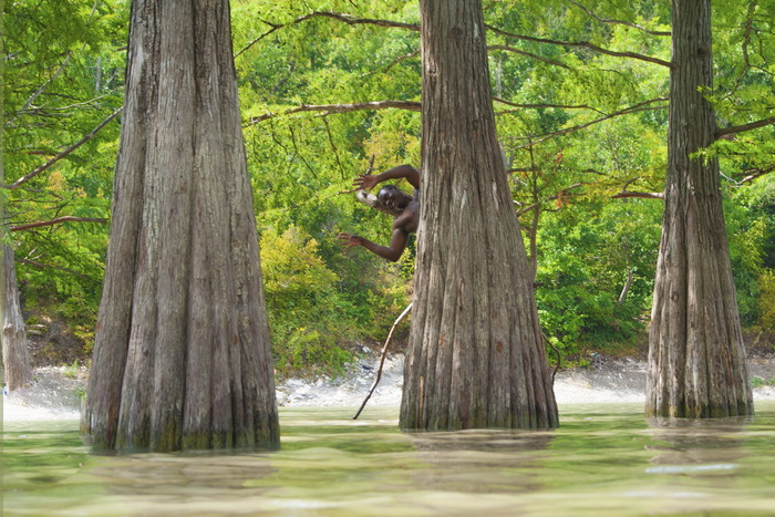 Екатерина, «Найди меня»
