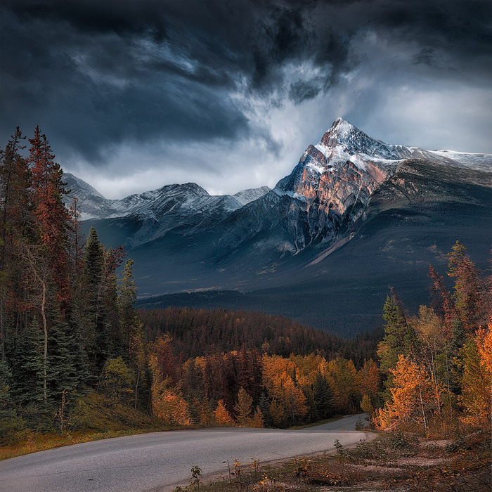 Rectangle 700 x 502d56c6 f777 4c6d a81c f95f9a9ef87f