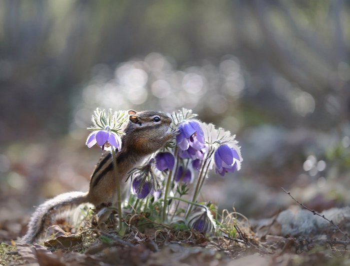 Rectangle 700 x 395c1149 22b4 4199 a8f5 ad0db65d8f00