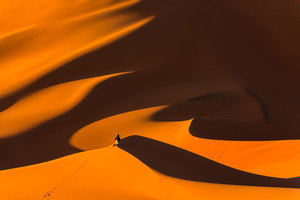 Rectangle x 200 d2a5348d e61f 4b20 84a4 4369bb179de2