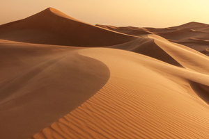 Rectangle x 200 7f900fdf 5e20 4ee1 a4bf 47d53e451e5c