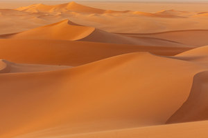 Rectangle x 200 80ca377d 4932 4651 a67a 74f627f2aa1b