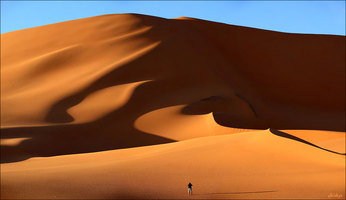 Rectangle x 200 f68e29ff 4a55 4a62 82a0 16865673767d