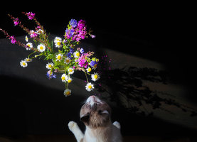 Rectangle x 200 dd9584be bdcc 4fc9 8a8a e5fed122feb8