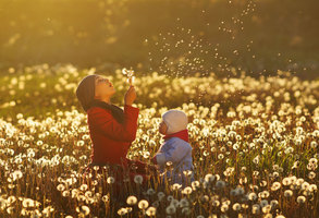 Rectangle x 200 77d88760 c6b2 44ee a3ad df4db95c1cf2