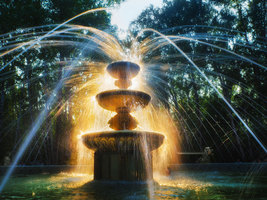 Rectangle x 200 fddfafaf 3ae5 44b7 99b2 e27fda8344e4