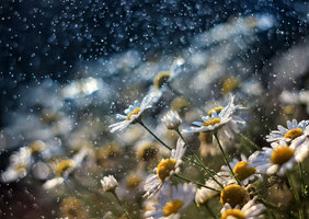 Rectangle x 200 ec103b31 0197 4316 884f f6a3c54042a2