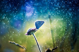 Rectangle x 200 bef30b08 8a39 4382 8c2b ad56b71294af