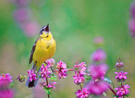 Rectangle x 200 0b88645e 9f7d 4b43 825b 9ef17d51a735