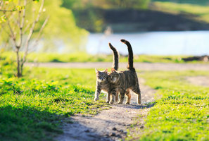 Rectangle x 200 7824602f 5b44 4a6c 9595 ee0052c0b7b4