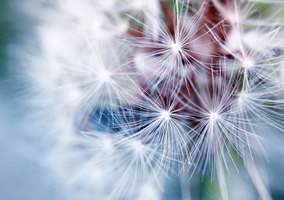 Rectangle x 200 e6d332d2 e24b 4713 b8d0 062d78a401c8