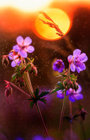 Rectangle x 200 7c065b9e dbe7 4a16 b851 30065efee106