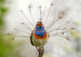 Rectangle x 200 2645dcc7 4b6d 4815 a9c3 63c74715d167