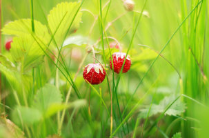 Rectangle x 200 86dfda94 ab07 4f60 ab19 3b70c03afbc0