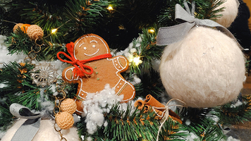 Rectangle x 200 4f0babb8 4058 47a3 b25f ad51c7cbc243