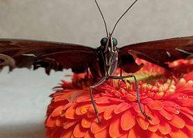 Rectangle x 200 b916358b e167 4c9f 8569 38a001cf09c0