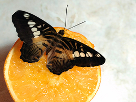 Rectangle x 200 bb573ee9 889d 4740 8eea 460497d20ac4