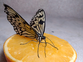 Rectangle x 200 514e447a 03e9 4c97 9a83 5090b3c94a80