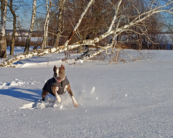 Rectangle x 200 1c57ac86 8e31 4264 9a2a f9399a8ce53b