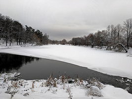 Rectangle x 200 9d5ed40f 194d 4310 85d9 476f57d1b230