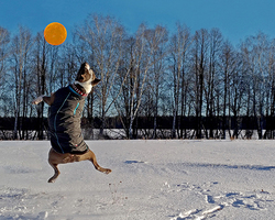 Rectangle x 200 8a51a1be 39e6 4ed8 8989 181fbc466c11