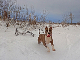 Rectangle x 200 7e42d6dd 8567 4808 932a 21f9ac37d8c5