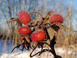 Rectangle x 200 76847bea 135b 4cae 90f9 f2cbb76c56cc