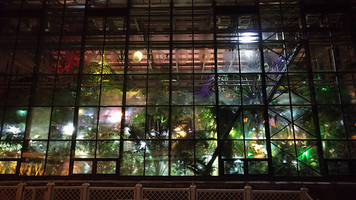 Rectangle x 200 5af4a87a 8088 412b 99cc 6a399b8701c1